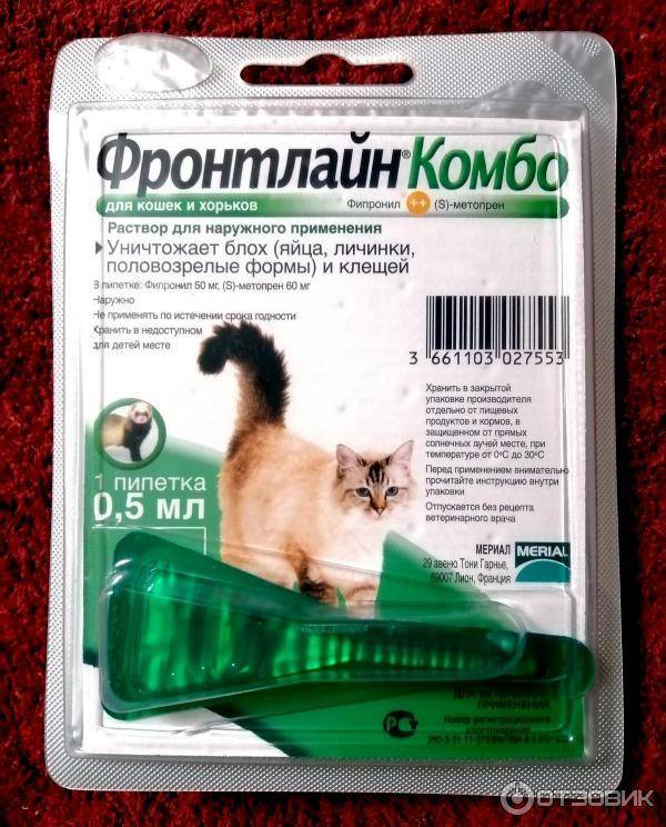 Фронтлайн для кошек и собак: описание видов и свойств препарата