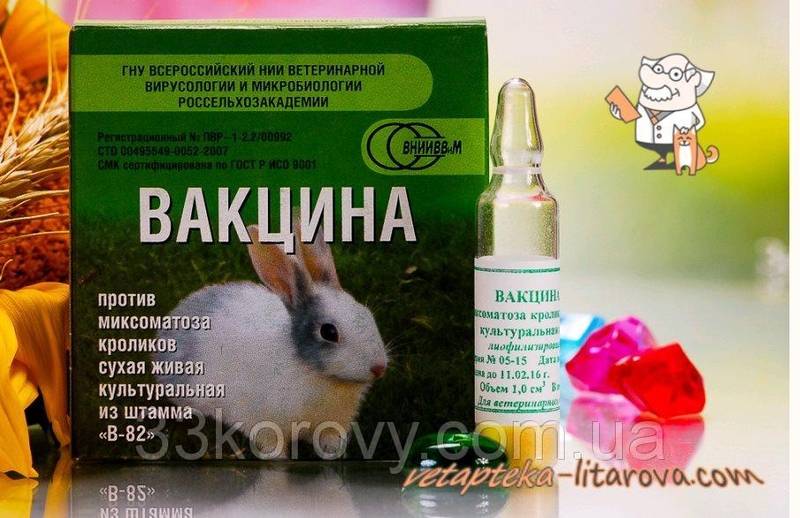 Ассоциированная вакцина для кроликов: описание, применение