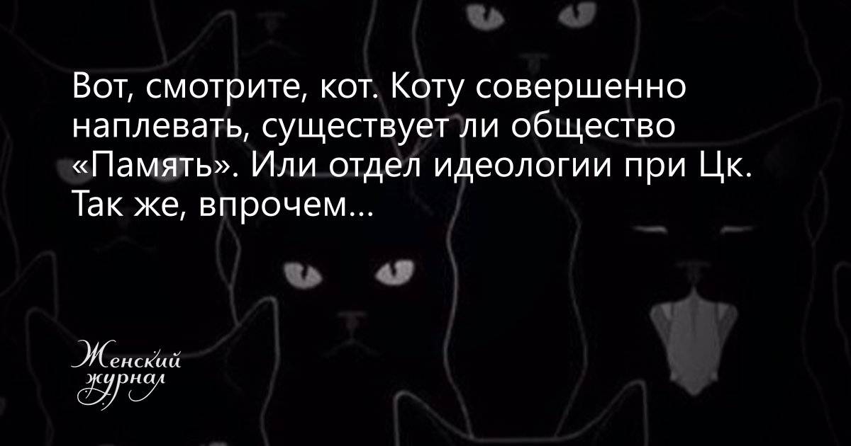 Кошки память на русском. Коту совершенно наплевать. Кошачья память. В память о котике. У кошек есть память.