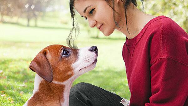 ᐉ как помочь своей собаке полностью расслабиться - ➡ motildazoo.ru
