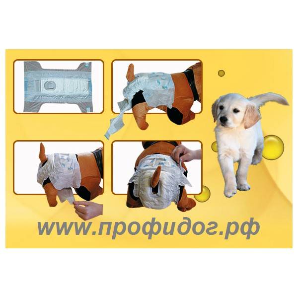 ᐉ как выбрать памперсы для собак? - ➡ motildazoo.ru