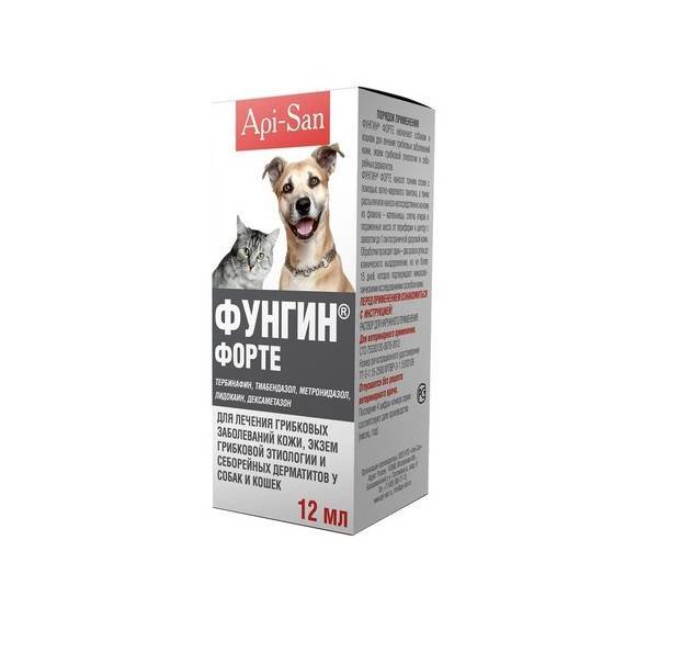 Фунгин (спрей) для кошек и собак | отзывы о применении препаратов для животных от ветеринаров и заводчиков