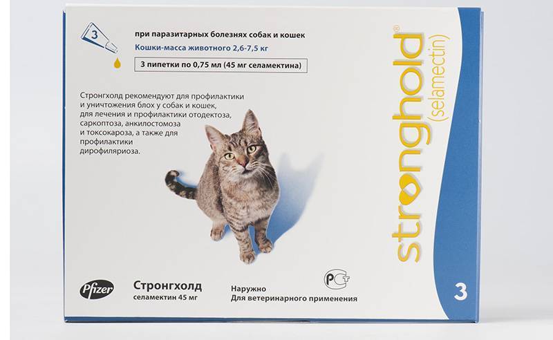 Капли от ушного клеща для кошек, обзор лучших препаратов