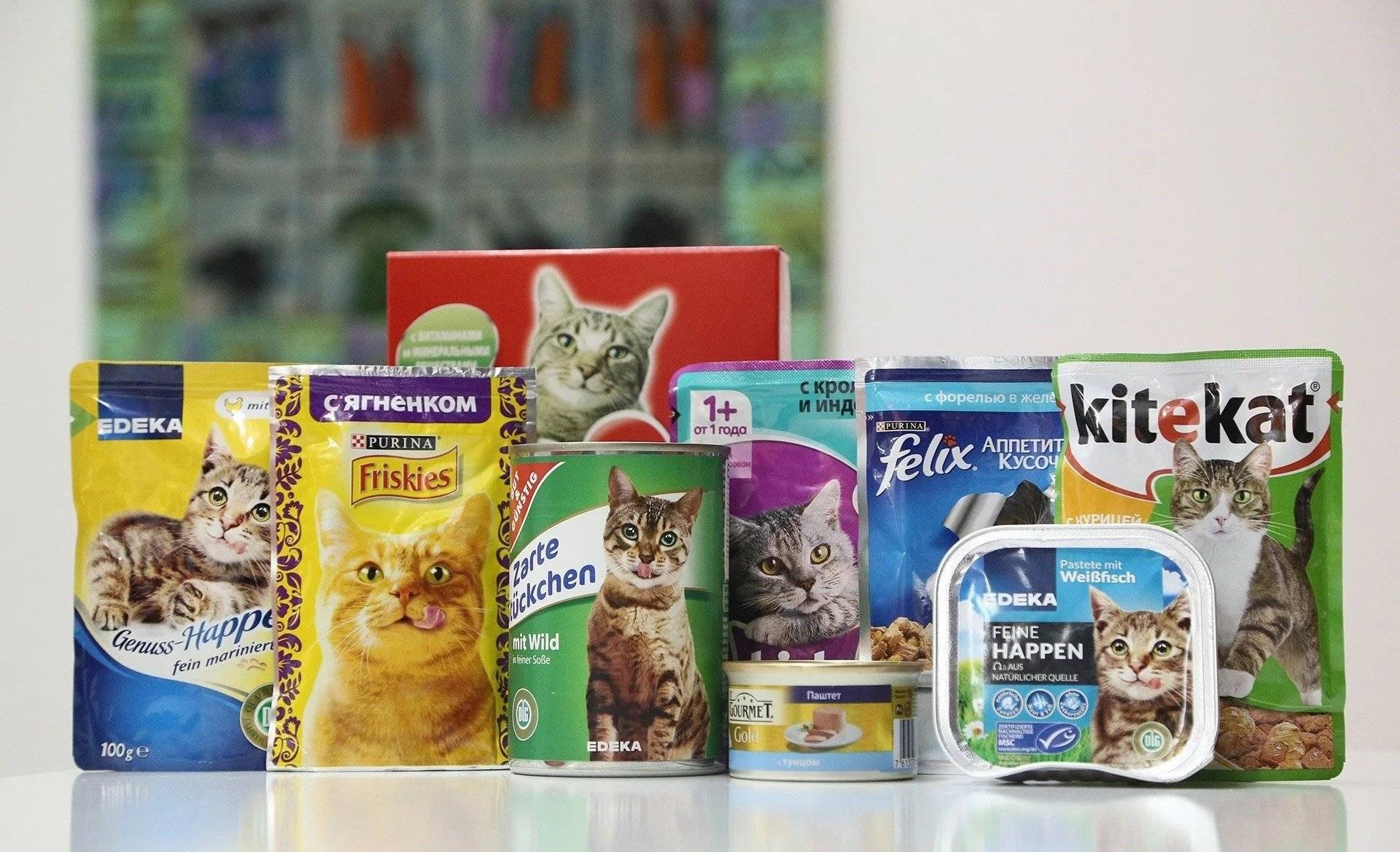 Рейтинг сухих кормов для кошек премиум-класса и не только