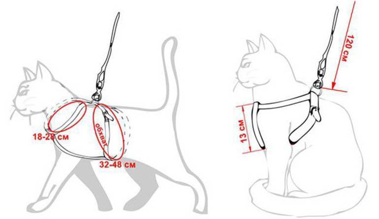 Шлейка для кошки своими руками, выкройка и фото: как сделать кошачий поводок в домашних условиях?