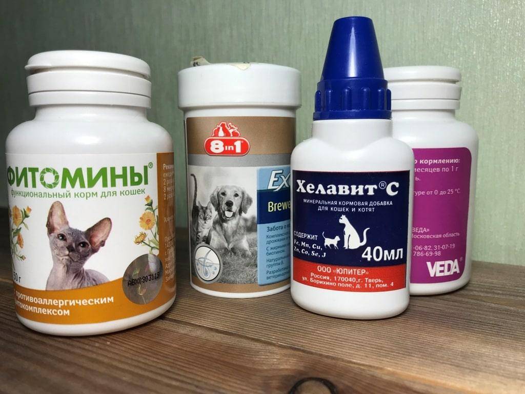 Какие витамины нужно давать коту