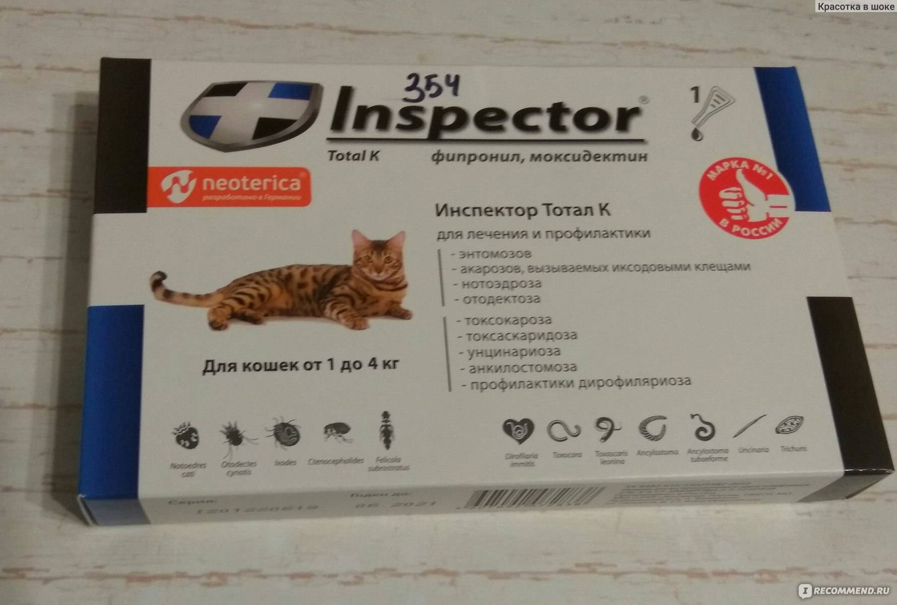Капли инспектор для кошек – описание и инструкция: наша точка зрения на вопрос