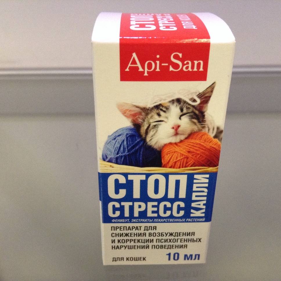 Успокоительное для кошек при стрессе и агрессии: какие успокаивающие капли и таблетки можно дать?