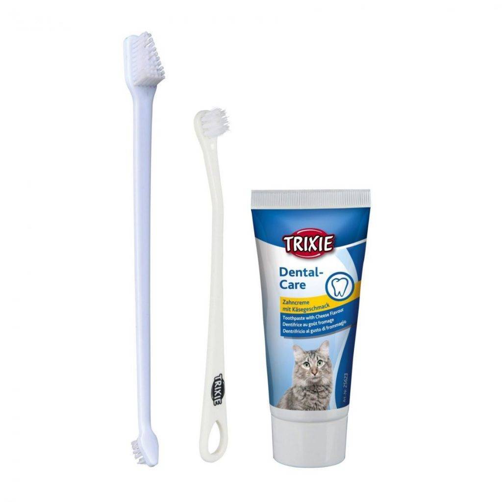 Как почистить зубы коту в домашних условиях: зубная паста и щетка, специальный корм и косточки
