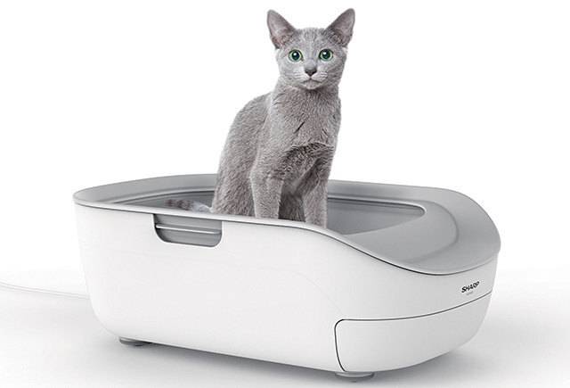 Автоматический туалет для кошек: удобство питомца без хлопот хозяина