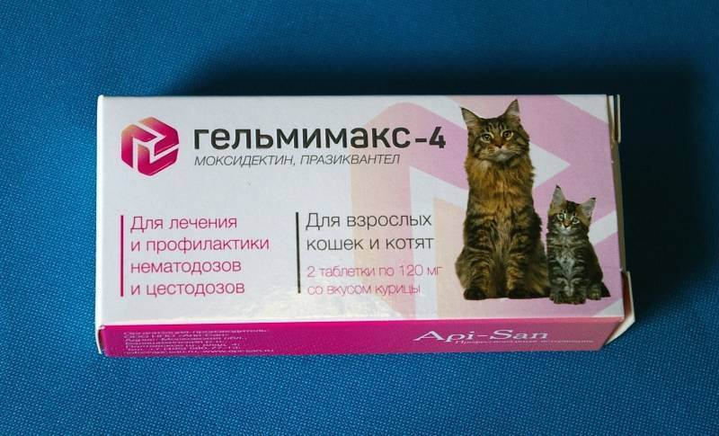 Антигистаминные препараты для кошек от аллергии: список, какие можно, дозировка