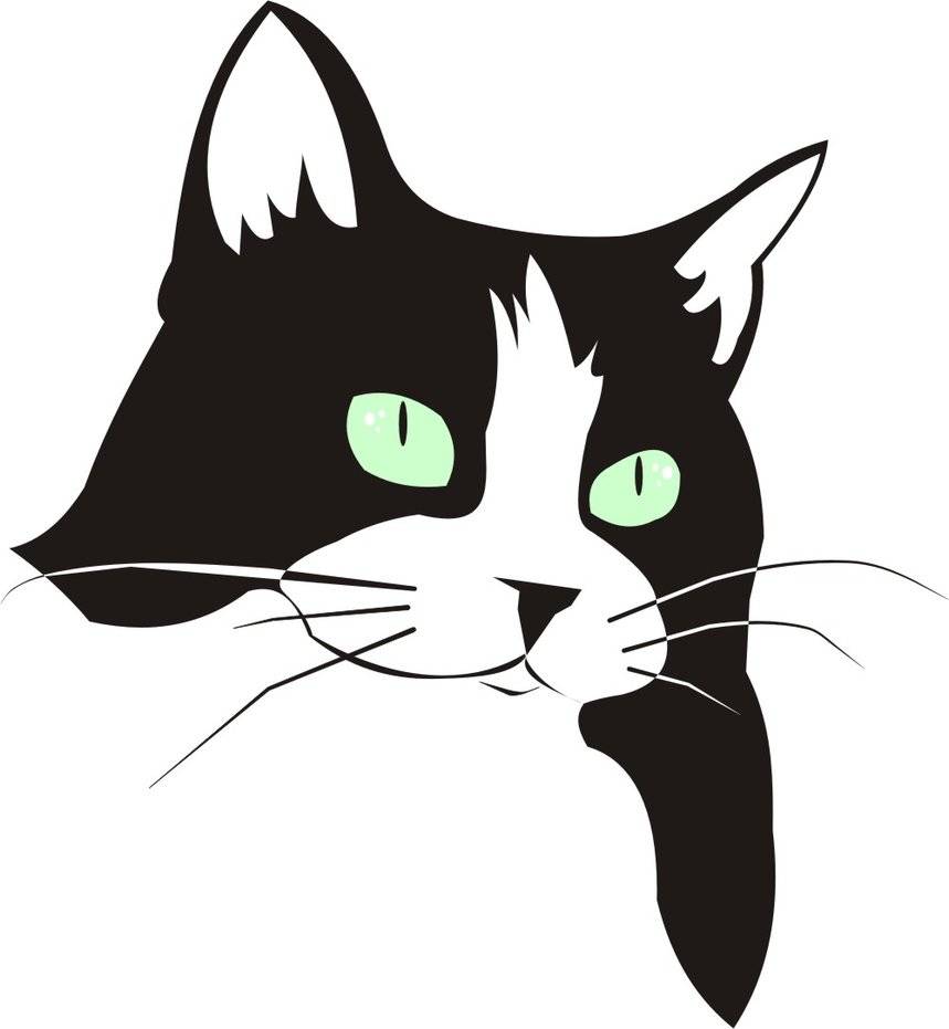 Как нарисовать кошку поэтапно карандашом — три легких мастер-класса для начинающих