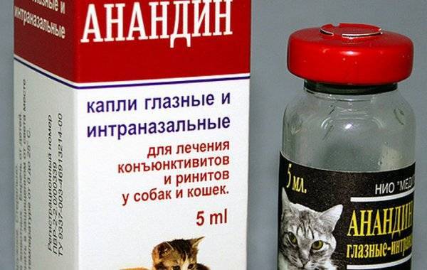 Советы, как правильно применять капли в уши и уколы анандин кошке
