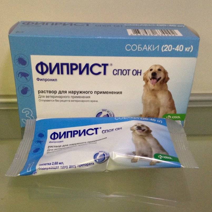 «фиприст» для собак: инструкция по применению ветеринарного препарата для борьбы с паразитами, блохами, клещами, власоедами и вшами