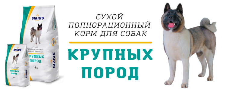 Влажный корм для собак разных пород и щенков: виды кормов