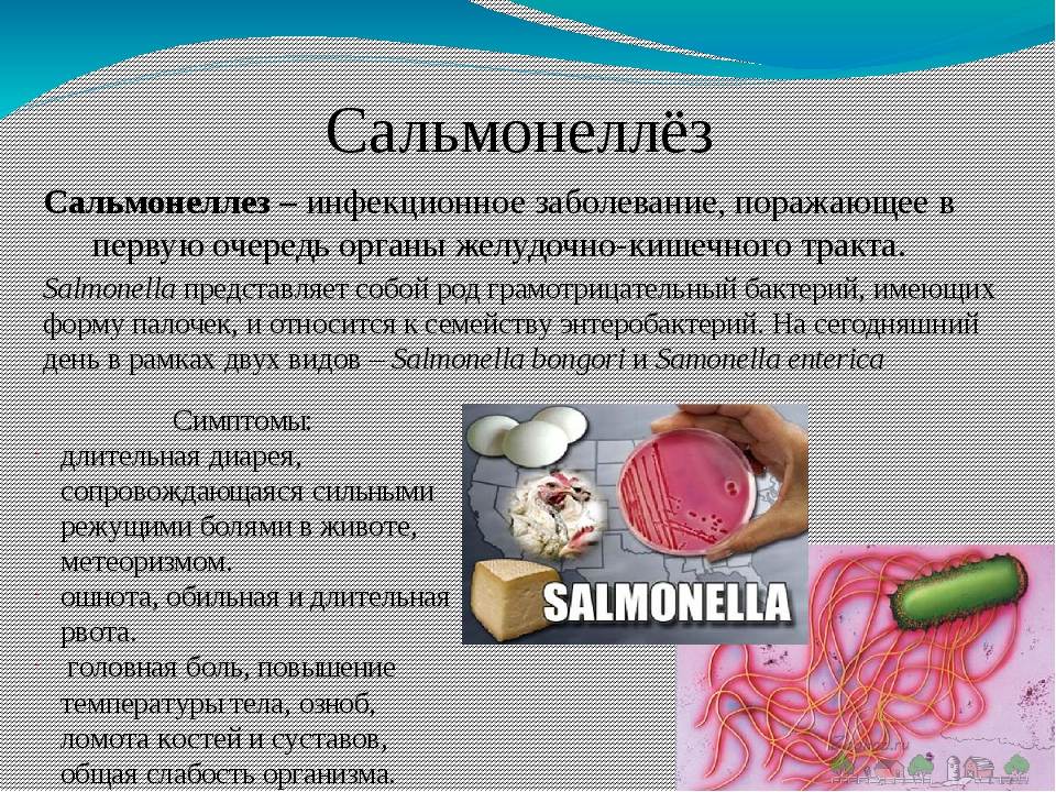 Сальмонеллез: симптомы и лечение у взрослых. чем лечить сальмонеллёз