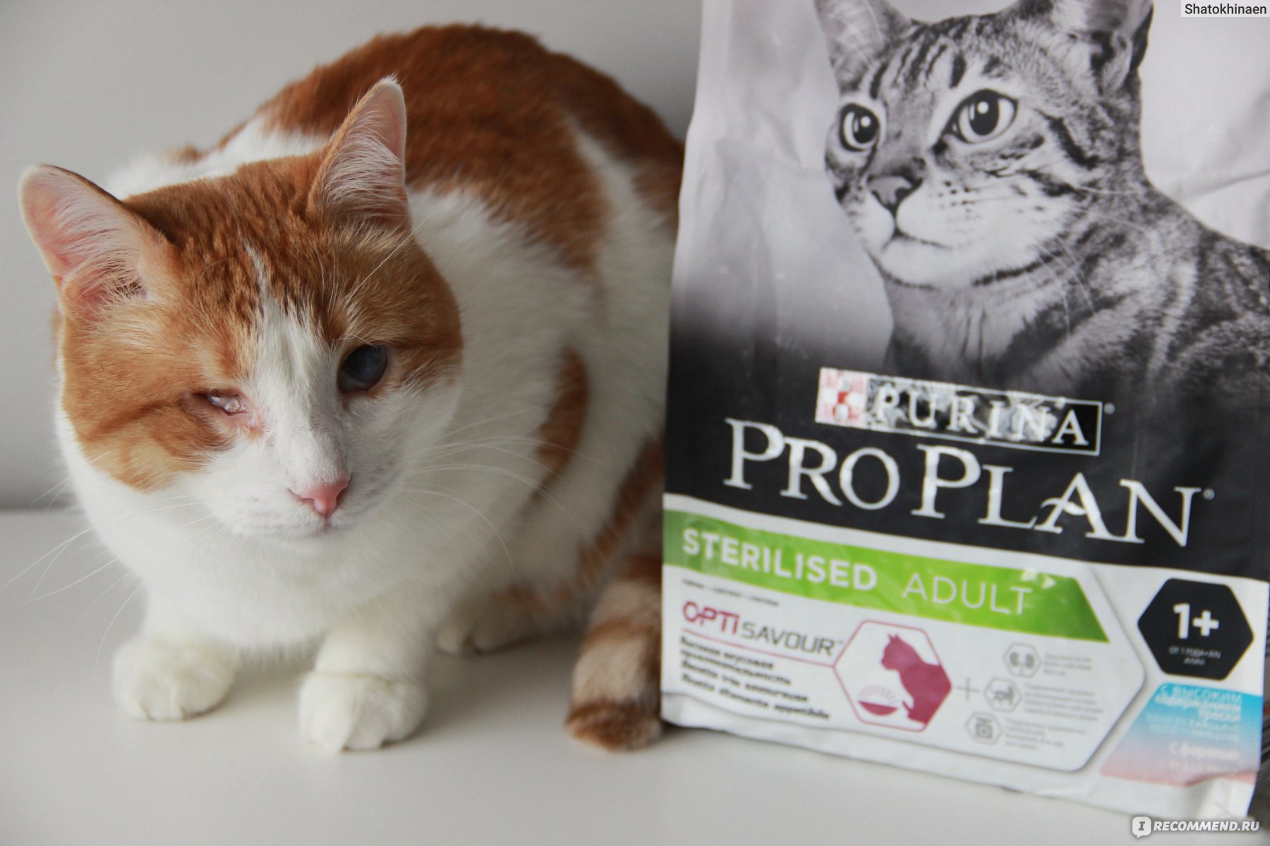 Pro plan sterilised – 2 вида корма для стерилизованных кошек