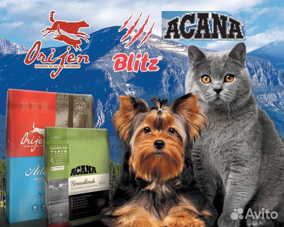Корм для собак acana, собачий корм acana for dogs: официальный сайт «акана», состав корма acana для собак