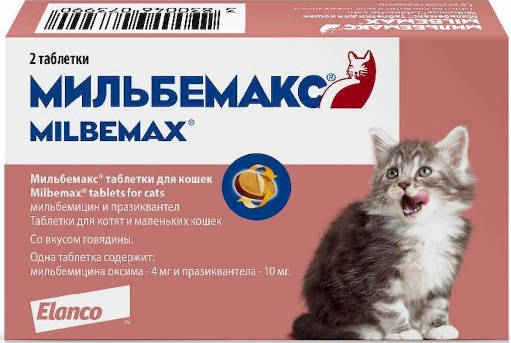 Мильбемакс для кошек: инструкция по применению, как правильно давать, дозировка по весу, возможные побочные эффекты
