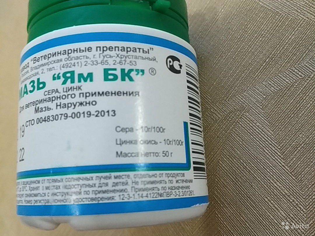 Мазь ям бк для кошек: инструкция и показания к применению, отзывы, цена
