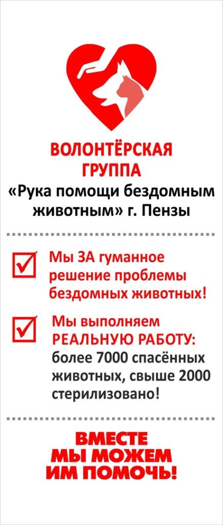 Как начать сбор денег на животных, и что делать для решения проблемы?