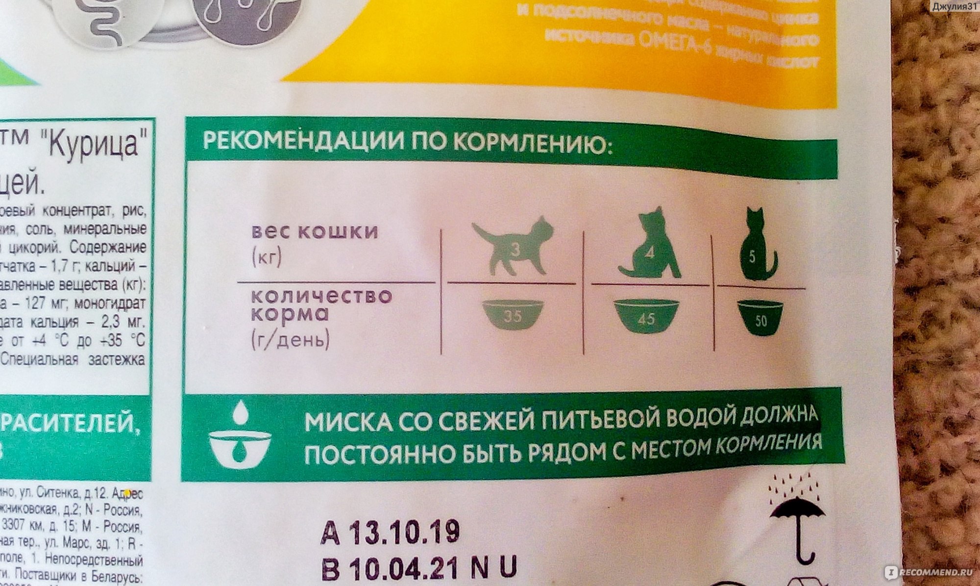 Лучший корм для стерилизованных кошек: сухой, влажный, рейтинг