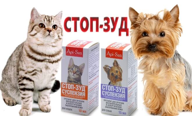 Стоп зуд для кошек (суспензия и спрей): инструкция по применению, отзывы, аналоги