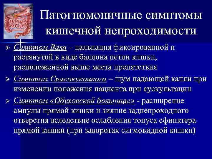 Кишечная непроходимость у кошек: симптомы, что делать в домашних условиях, методы лечения