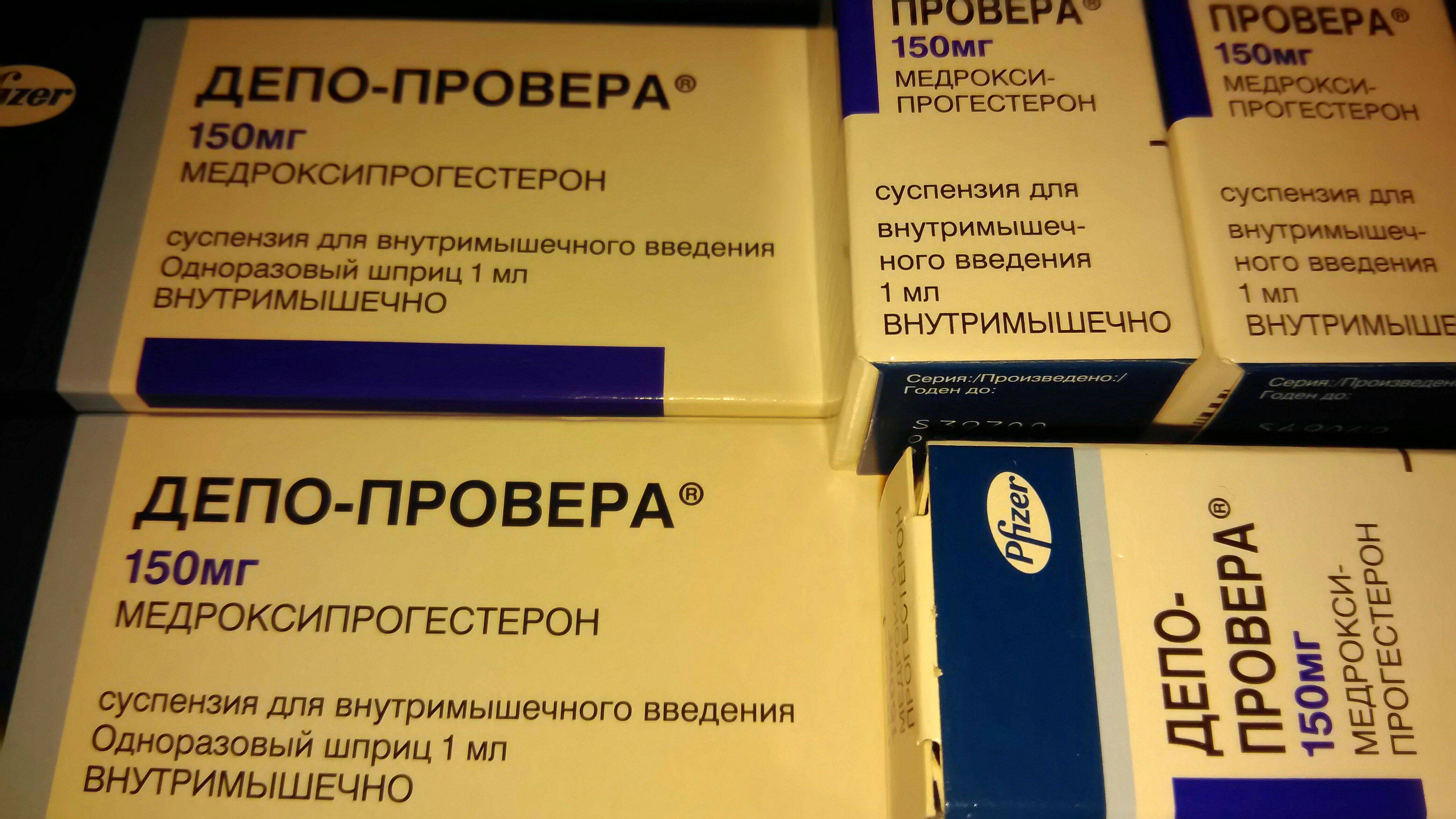 Антисекс для кошек: противозачаточные таблетки, капли, уколы от гуляния