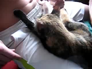 Причины подагры. симптомы и лечение приступа подагрического артрита