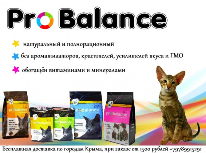 Корм пробаланс для собак: отзывы и обзор состава