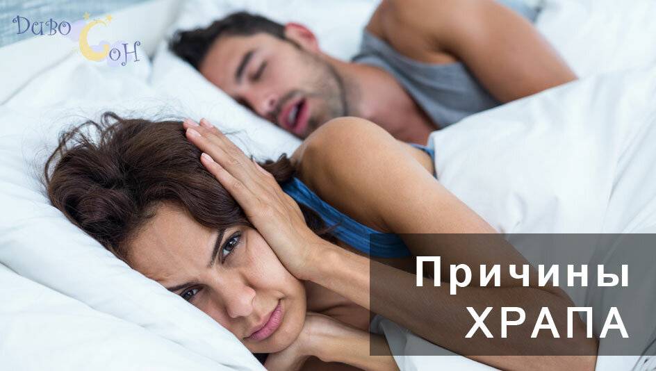 Почему храпят коты шотландцы. кот храпит во сне: причины и что делать