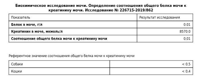 Низкий креатинин в моче. Соотношение белок креатинин норма. Соотношение белок креатинин в моче. Креатинин в моче показатели норма. Белок креатинин в моче у собак.