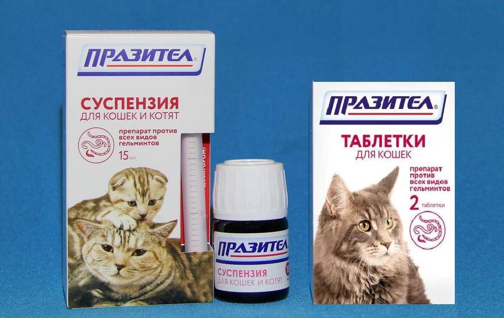Антибиотик энромаг для кошек