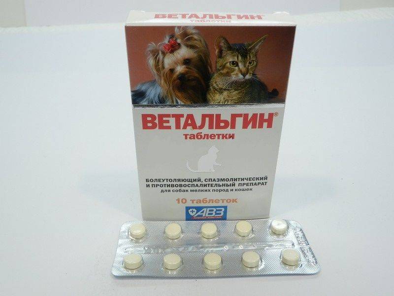«дротаверин» для кошек: инструкция по применению, дозировка в таблетках, можно ли давать коту, как колоть