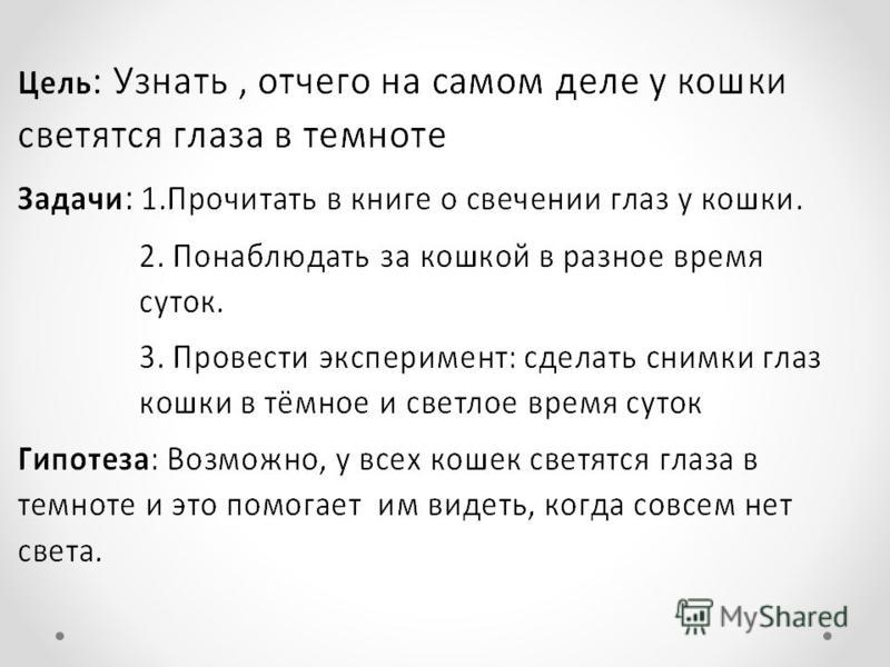 Почему у кошек светятся глаза в темноте?