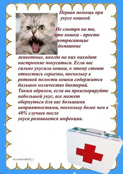 Пищевое отравление: как оказать себе первую помощь