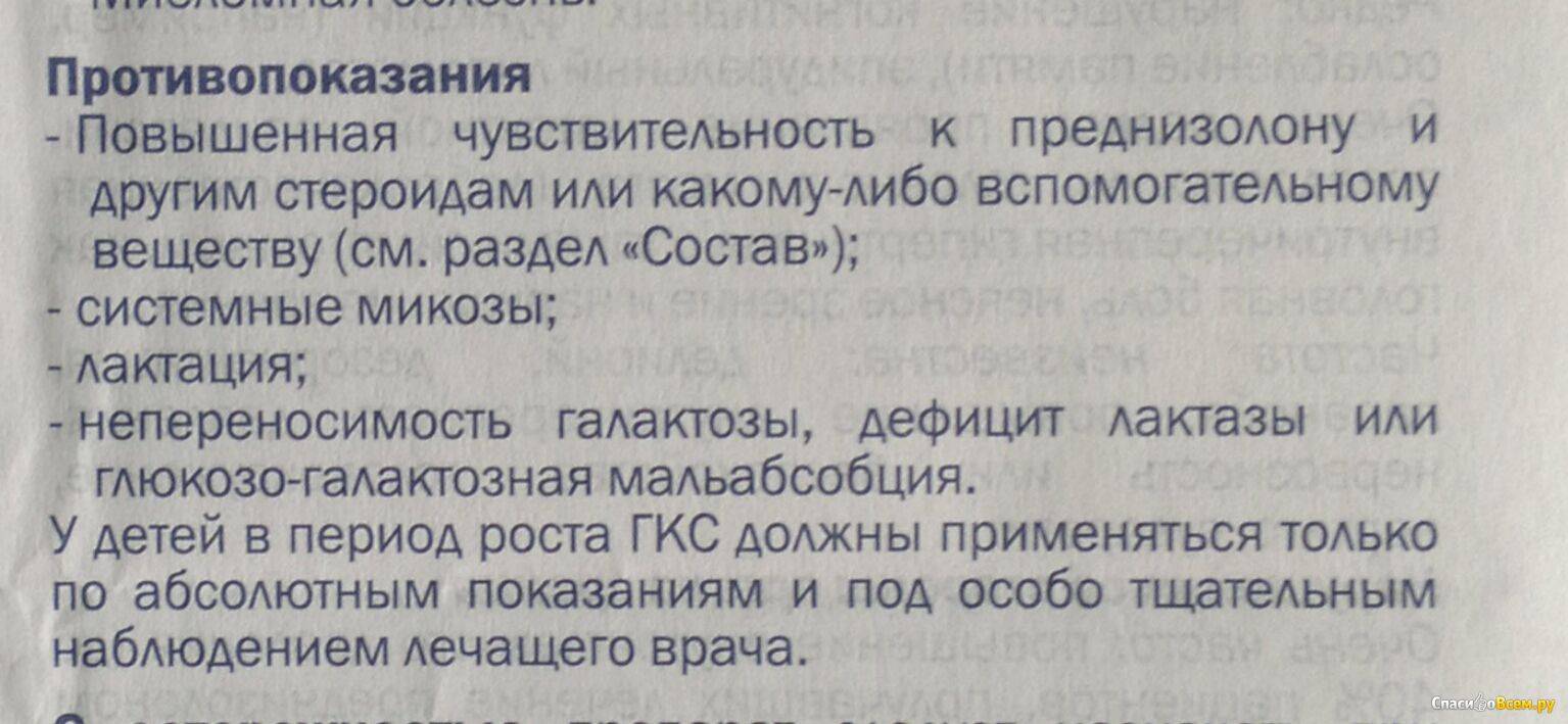 Преднизолон для собак: дозировка и инструкция по применению, противопоказания и отзывы