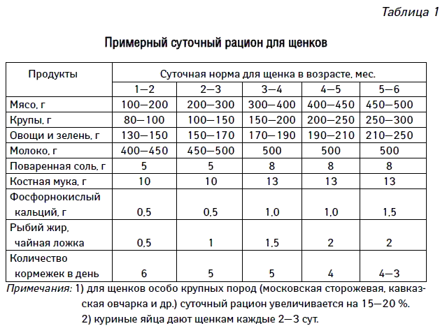 Чем кормить той-терьера взрослого? чем кормить щенка той-терьера в 2 месяца?