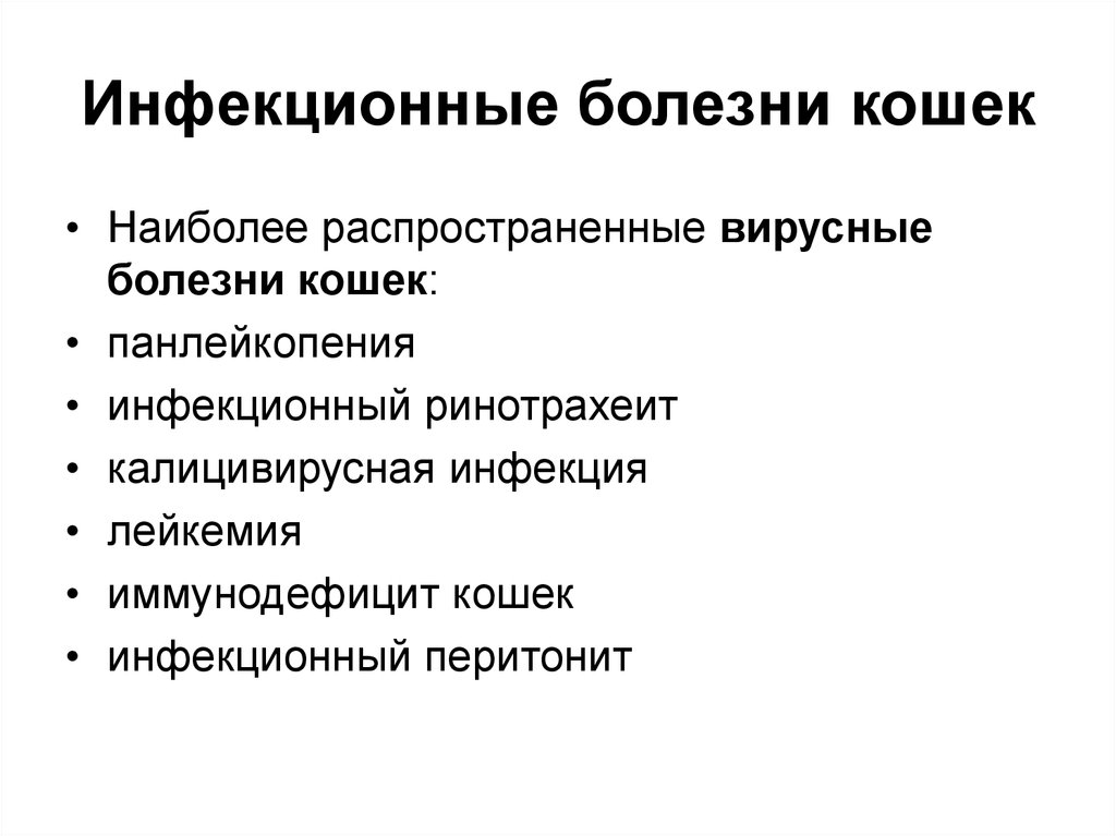 Коронавирус у кошек: симптомы и методы лечения