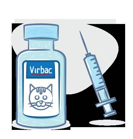 Фелиген с бешенством вакцина для кошек отзывы