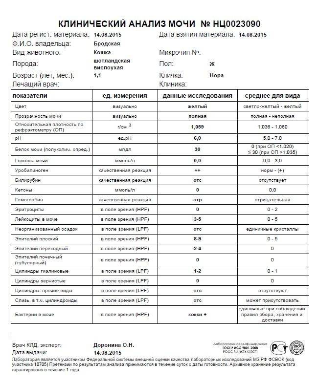 Анализ мочи у кошек расшифровка нормы - oozoo.ru