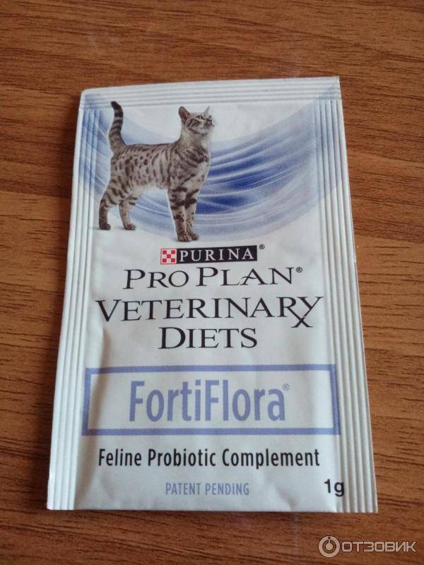 Фортифлора для кошек: инструкция по применению пробиотика от “пурины”
