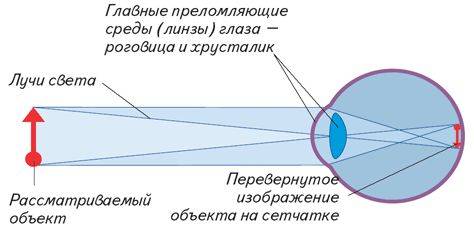 Ход лучей в глазу человека