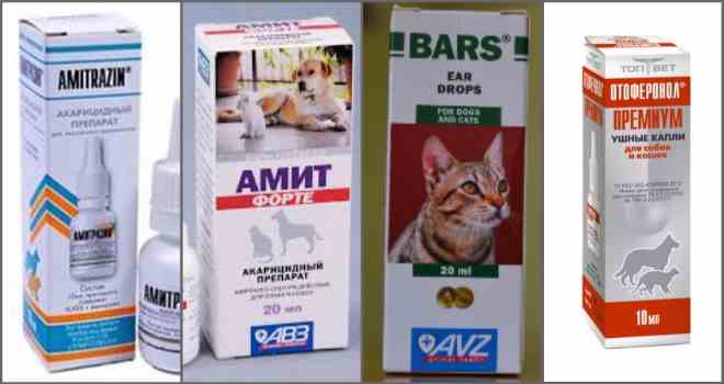 Капли от ушного клеща для кошек: правила применения, рейтинг лучших, отзывы