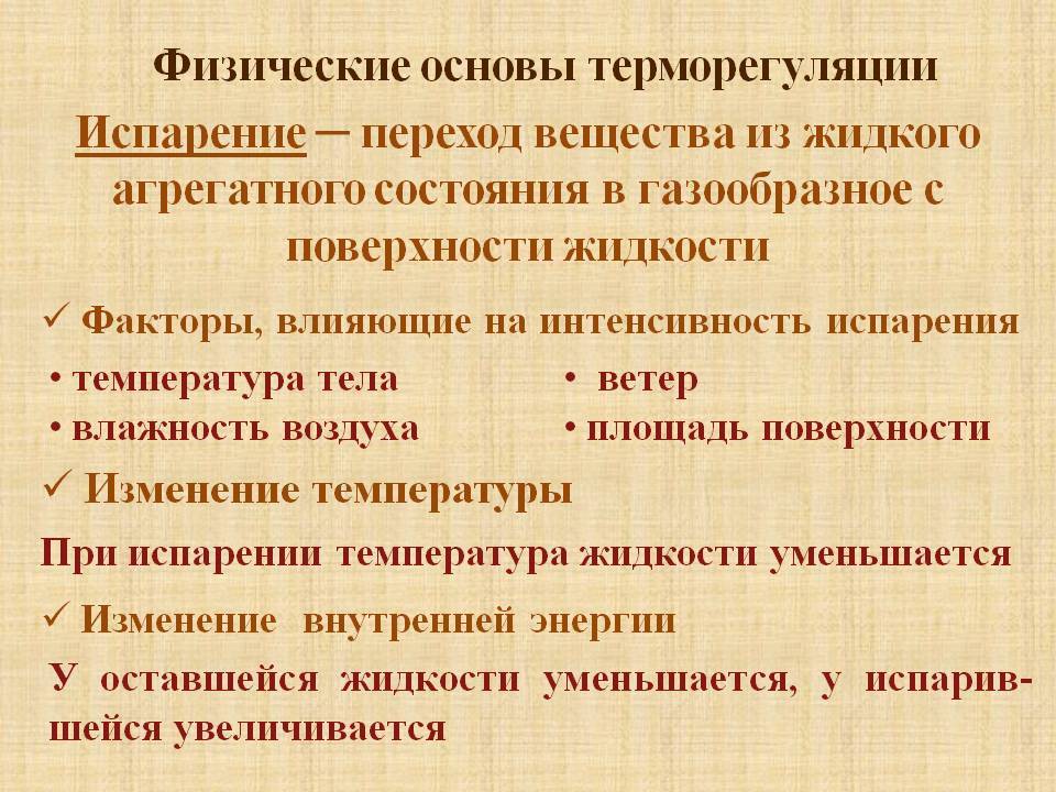 Как помочь коту в жару: советы и рекомендации, как понять, что кошке нужна помощь