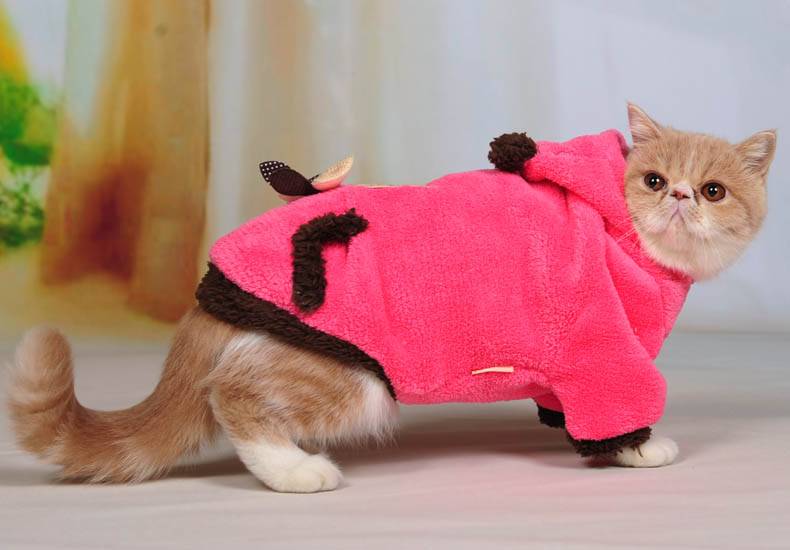 Мк вязаный комбинезон для кота спицами - гардероб для наших любимых питомцев (собак, кошек) - страна мам