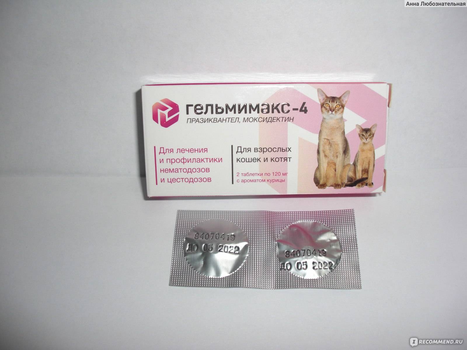 Капли на холку для кошек от глистов и других паразитов: обзор глистогонных препаратов