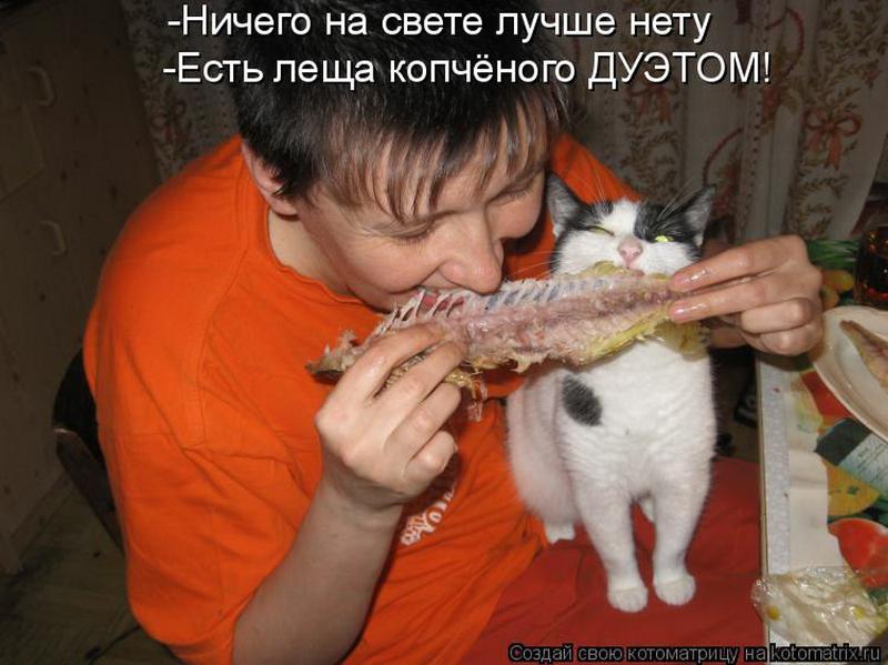 Знает кошка чье мясо съела