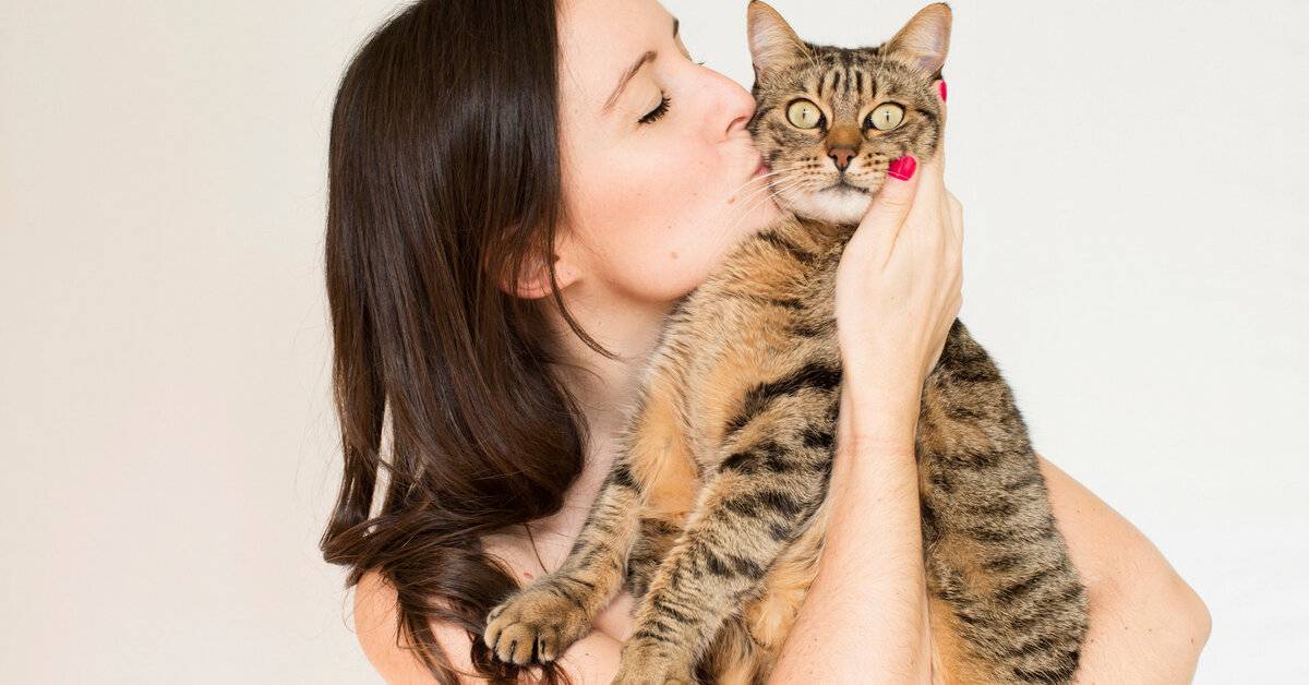 Любят ли коты своих хозяев научные исследования, знает ли кошка своего хозяина?